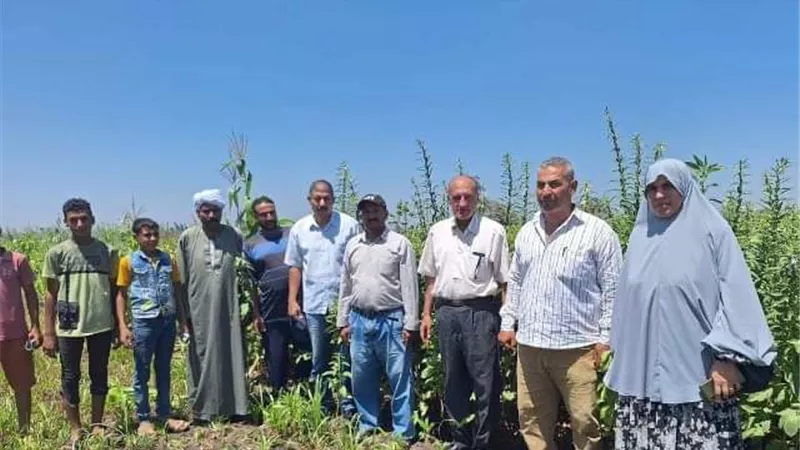 ندوة لمزارعي قرية فرغان عن محصول القطن المحمل عليه السمسم