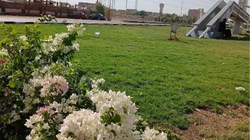 تعرف على أحدث أعمال الزراعة والصيانة فى مدينة سوهاج الجديدة صور