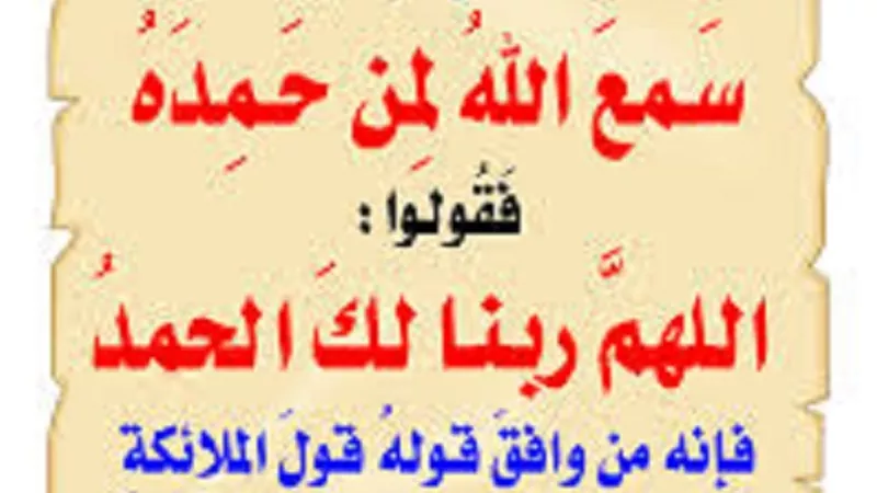 ما هو الفرقُ بين 