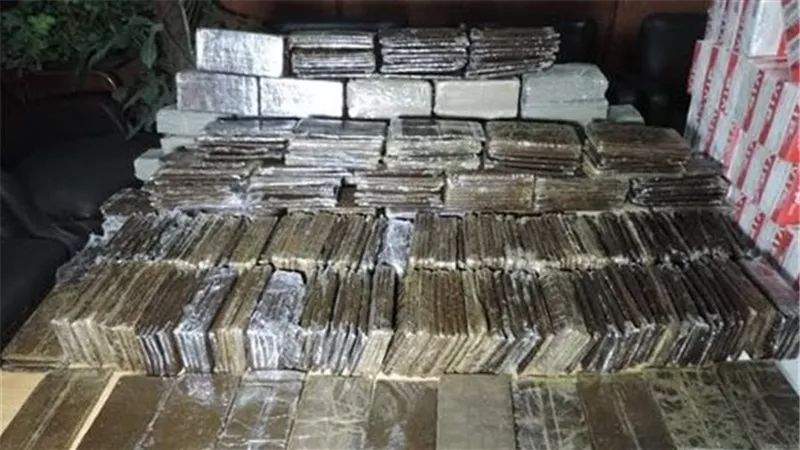 ضبط كميات من المخدرات وتنفيذ 813 حكما قضائيا بحملة أمنية بدمياط وأسوان
