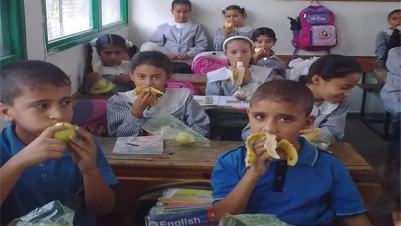 مطالب بعودة وجبات التغذية المدرسية