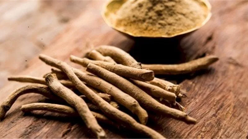 فوائد عشبة الأشواجندا