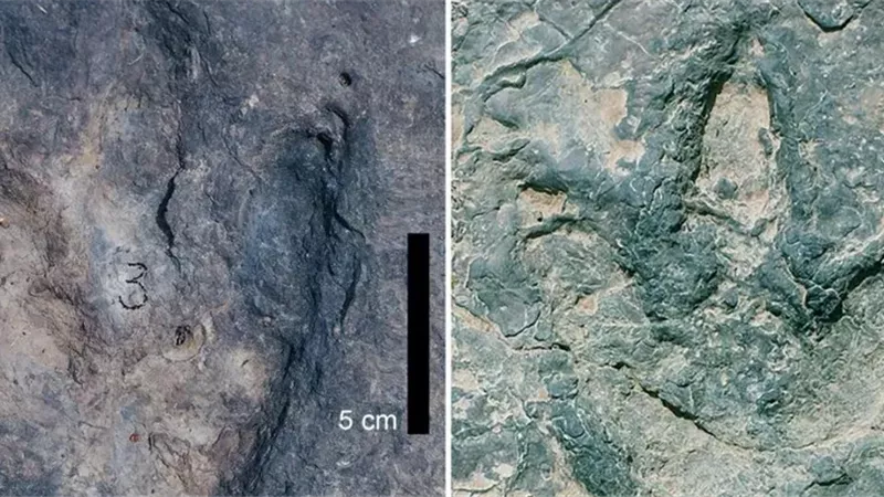 اكتشاف آثار 
