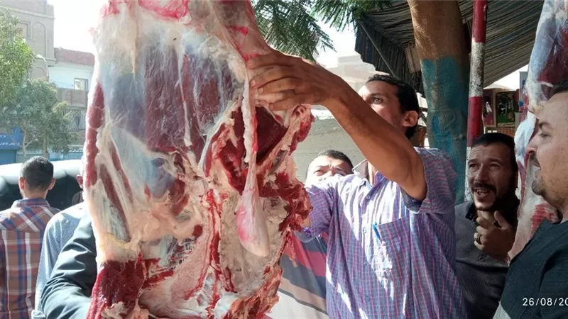 محافظ المنيا: ضبط 283 مخالفة خلال حملات تفتيشية تموينية مكبرة
