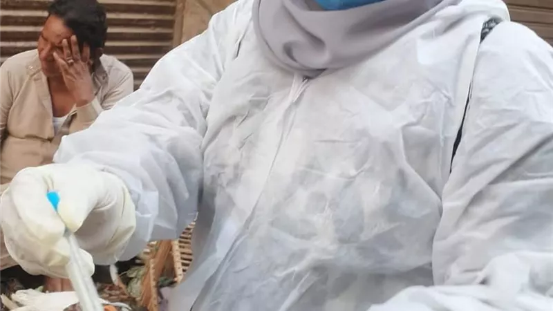 بيطري المنيا يحصن الثروة الداجنة ضد انفلونزا الطيور