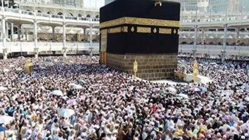 تفاصيل وقف شركات سياحية بسبب أزمة موسم الحج