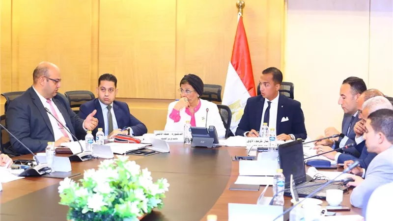 لجنة إعداد اللائحة التنفيذية لقانون رعاية حقوق المسنين تستعرض محددات المشروع