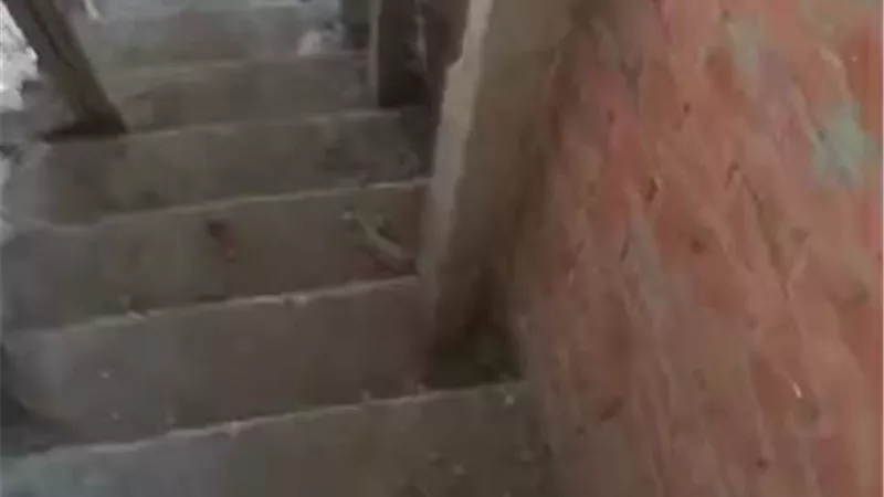 فاعل خير يتكفل بتشطيب شقة وفاء