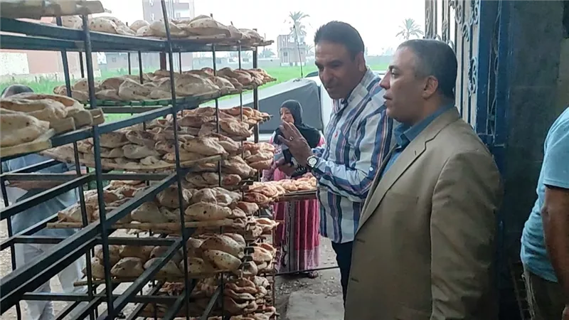 تموين الفيوم تحرر 392 مخالفة متنوعة بدائرة المحافظة خلال اسبوع