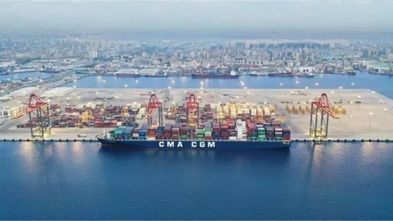 تداول 2800 حاوية خلال 24 ساعة بميناء الإسكندرية