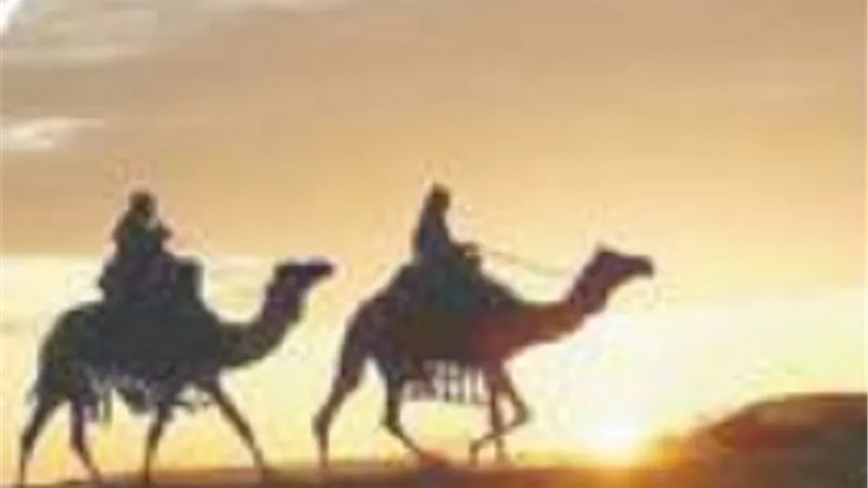 شهامة 