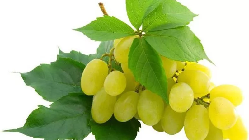 طرق استخدام العنب الأبيض للعناية بالبشرة
