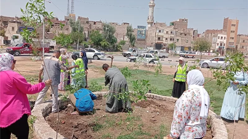 محافظ أسيوط: استمرار حملات التشجير بالمراكز والأحياء