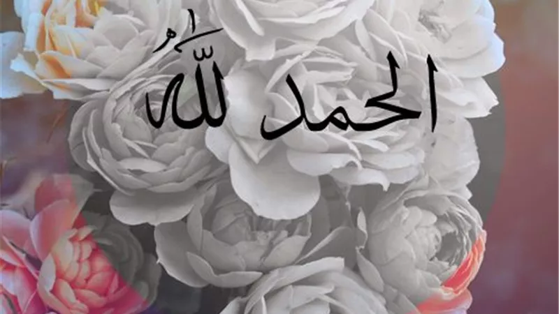 إدراكُ النّعمة.. 