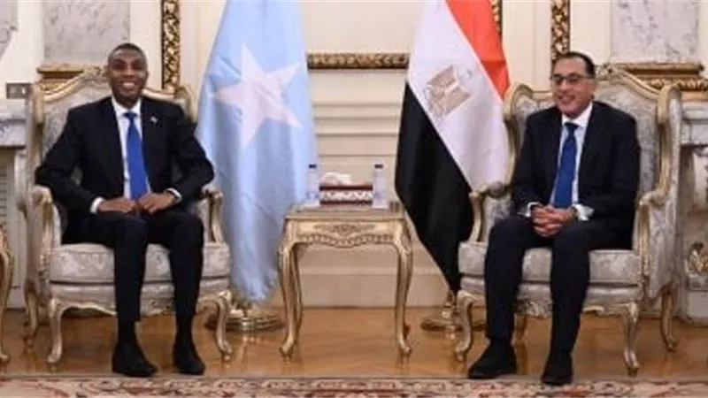رئيس الوزراء يستقبل نظيره الصومالي.. ويؤكد جاهزية القاهرة لتصدير أي سلع أو بضائع تحتاجها مقديشيو