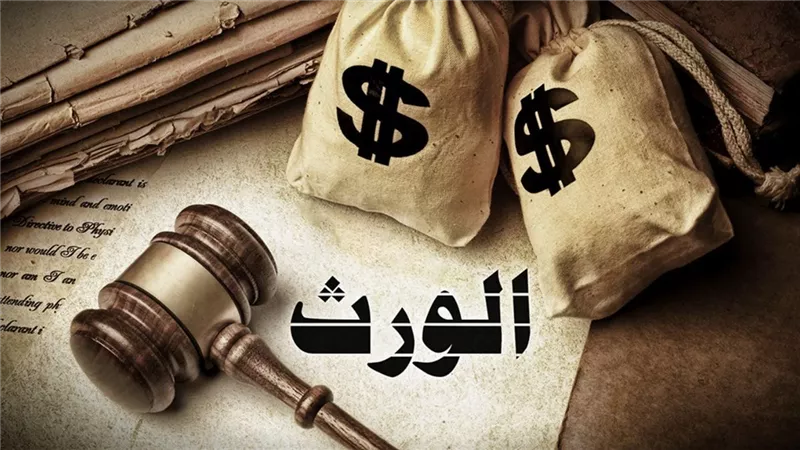 الورث المُغتصب..هل سيعوض عنه الله فى الآخرة؟..فيديو