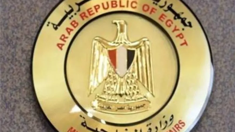 مصر توجه خطاباً لمجلس الأمن حول تطورات السد الإثيوبي