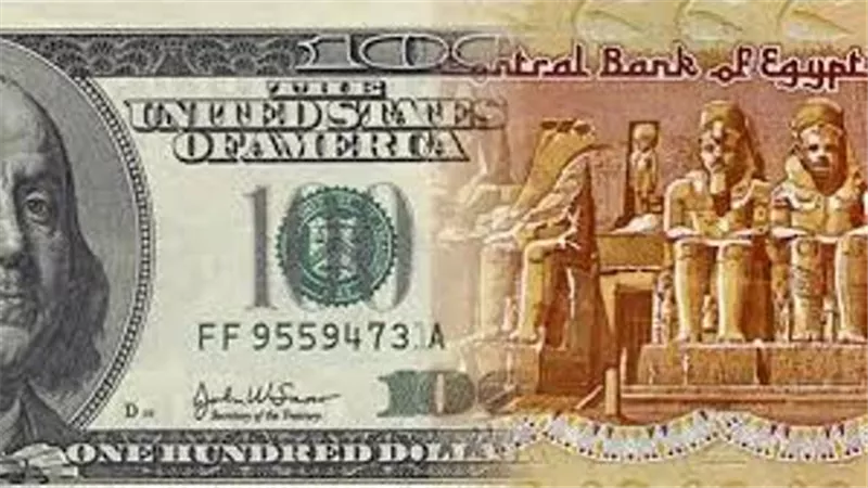 الدولار يواصل تراجعه أمام الجنيه ويفقد 5 قروش خلال تعاملات اليوم
