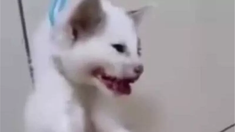 طالب ينشر فيديو 