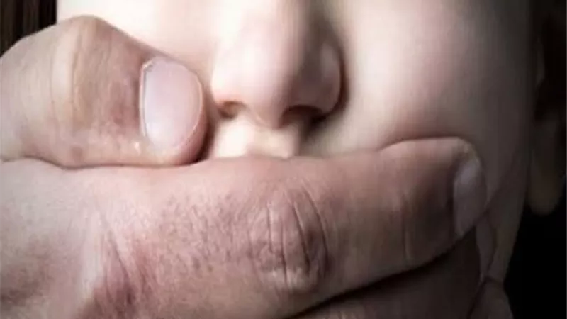 تأجيل محاكمة قاتل شقيقته بالشرقية للمرافعة