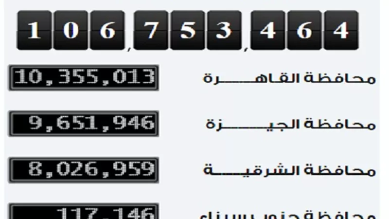 الإحصاء: عدد سكان مصر بالداخل يصل لـ 106 ملايين و753 ألف نسمة
