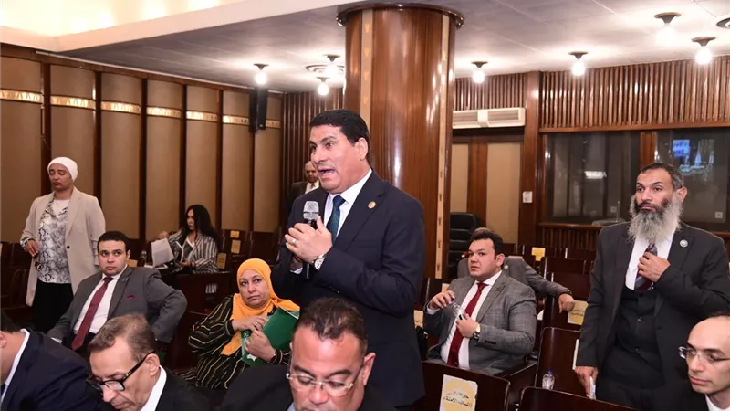 عضو تشريعية النواب: قانون الإجراءات الجنائية تضمن تعديل ٨٠% من الحالي
