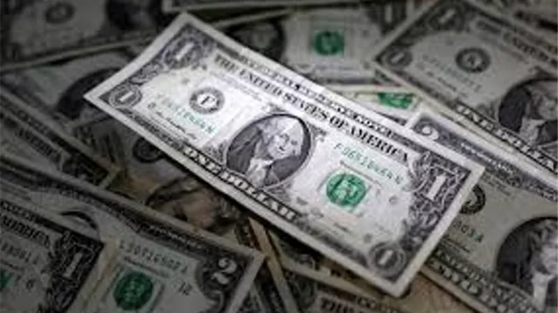 الدولار يلامس أعلى مستوى في أسبوعين مقابل اليورو