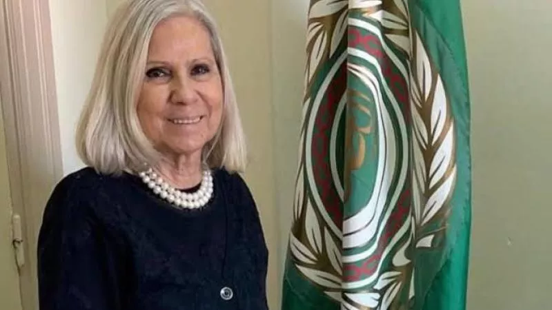 الجامعة العربية تدعو لوضع خطط للتخفيف من الآثار الاجتماعية للعدوان على غزة