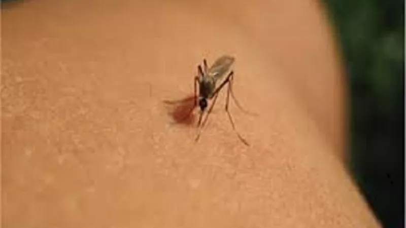 أعراض وطرق الوقاية من فيروس غرب النيل