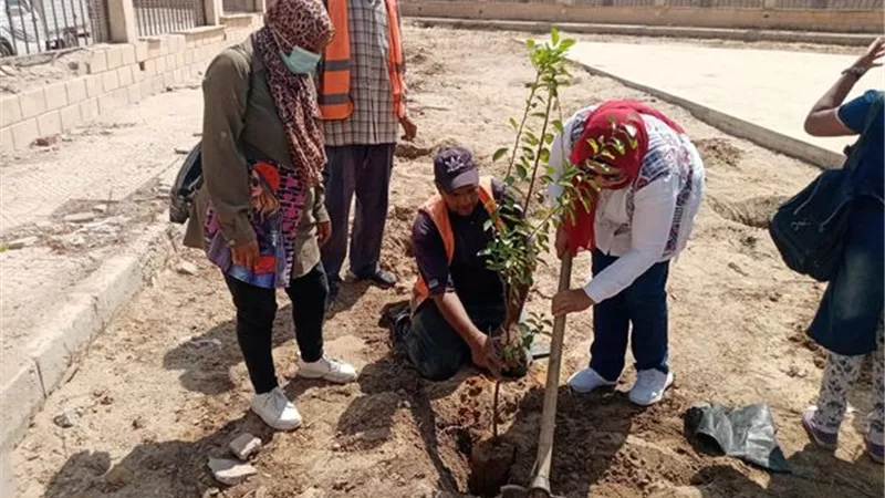 استكمال مبادرة زراعة الأشجار المثمرة بالإسماعيلية