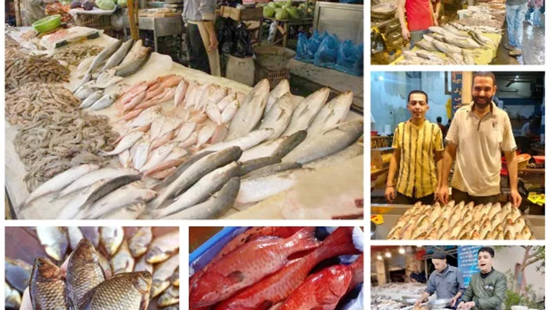 أسعار الأسماك تشوى جيوب المصريين