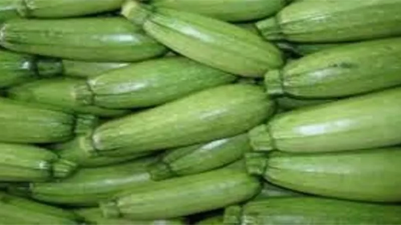 فوائد الكوسا ومضار الإكثار من تناولها
