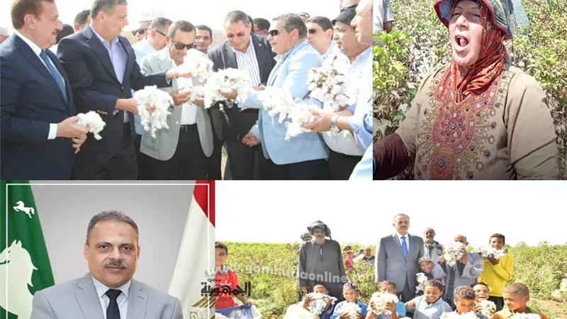 الذهب الابيض يلمع بريقه في المحافظات