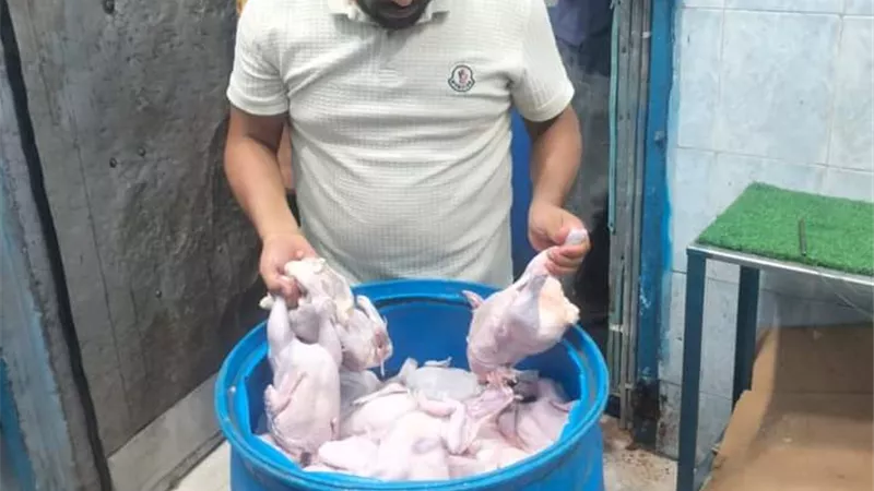 ضبط ربع طن دواجن للشك في صلاحيتها للاستهلاك الادمي بمطروح
