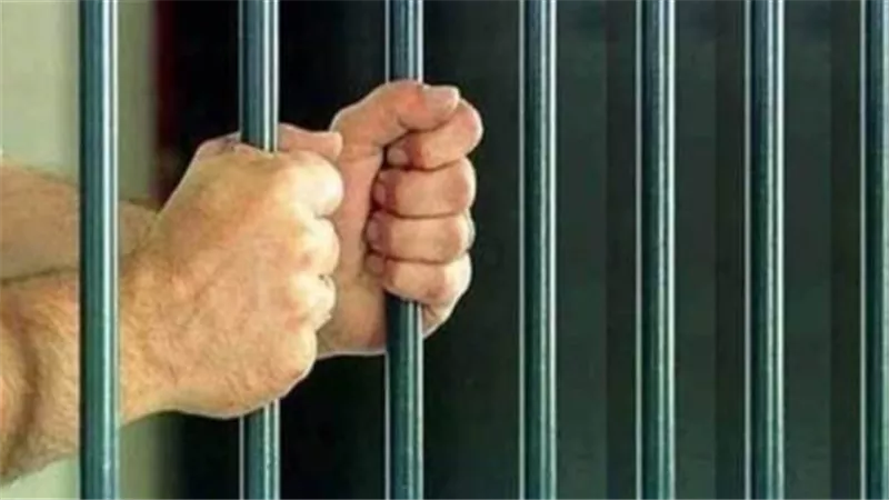 المشدد 7 سنوات لعامل لشروعه فى خطف طفل بطوخ
