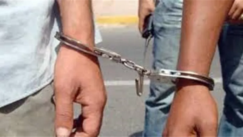 المشدد 5 سنوات لحداد وعامل لشروعهم في سرقة ماشية بالقليوبية