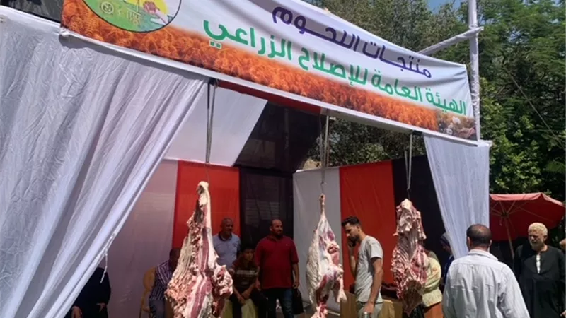 محافظ الفيوم يشارك المزارعين فرحتهم ويتفقد معارض بيع المنتجات