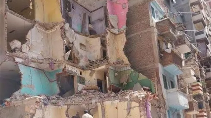 الفواكه بكرموز بدون خطوره على المواطنين