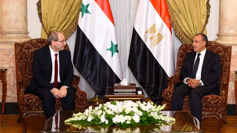 وزير الخارجية والهجرة يستقبل نظيره السوري