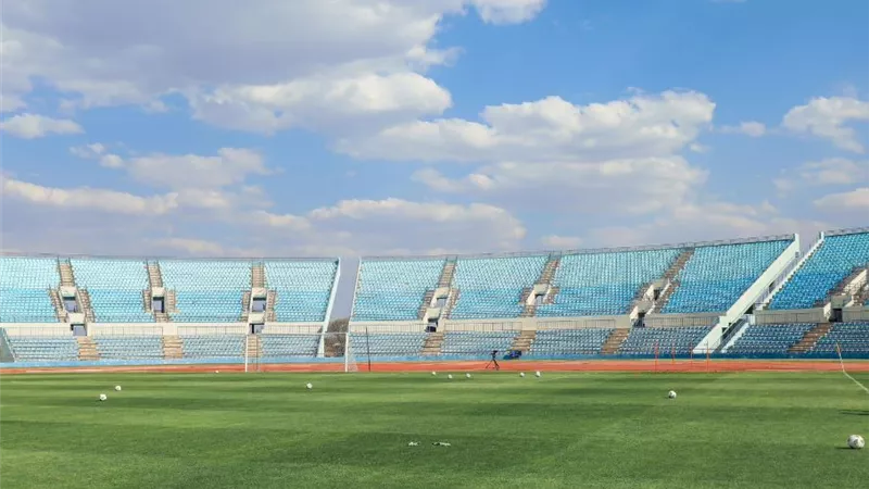 بالصور.. 
