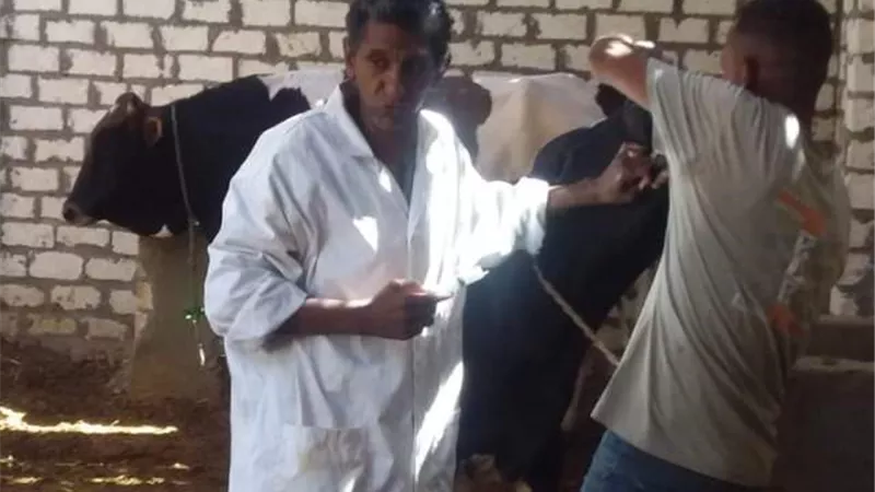 ٢٢٢٢٨ حالة علاجية فى ٥٠ قافلة بيطرية فى عيد الفلاح بالأقصر
