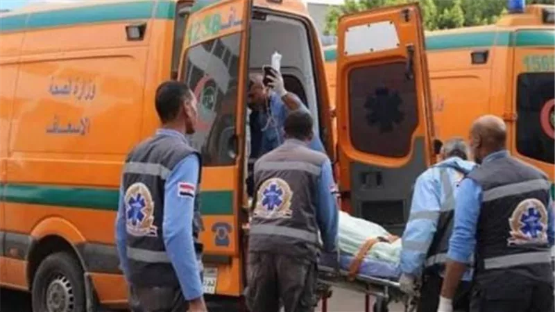 إصابة 19 فى تصادم مينى باص وسيارة نقل بطريق رأس غارب