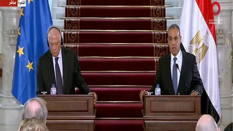 الخارجية: مصر مركز رئيسي لتداول وإنتاج وتصدير الطاقة الجديدة والمتجددة