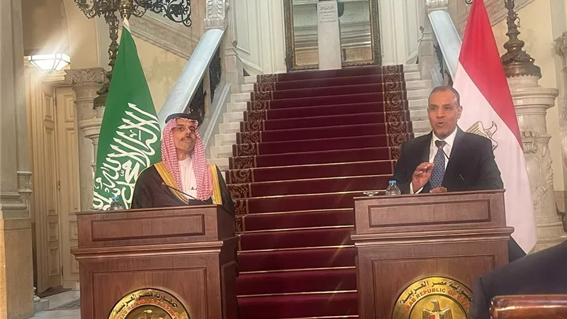 بن فرحان يؤكد على محورية التعاون بين بلاده ومصر فى حفظ الأمن و الاستقرار الاقليمى