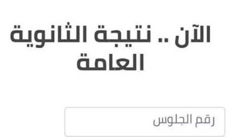 حان الموعد.. نتيجة الثانوية الدور الثاني برقم الجلوس