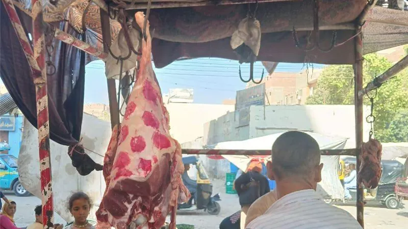 ضبط 415 مخالفة تموينية في 6 مراكز بالمنيا