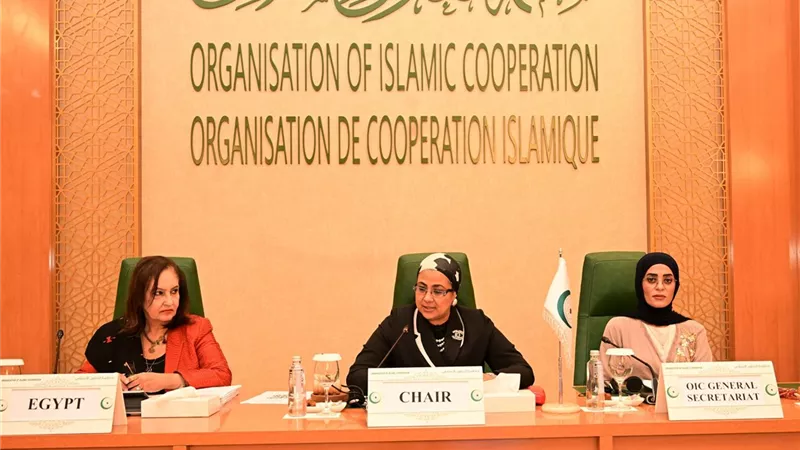 القاضية أمل عمار: مصر قدمت للمرأة عصرًا ذهبيًا
