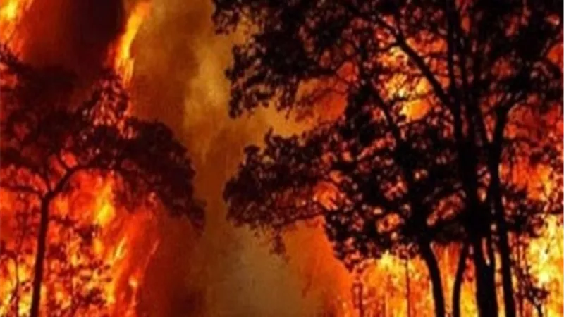 حرائق الجسر تدمر أكثر من 40 منزلًا قرب لوس أنجلوس