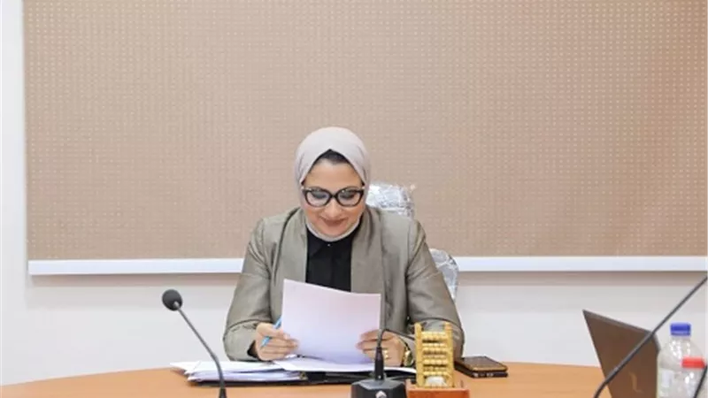 نائب محافظ الوادي الجديد: ١٩٢ مشروعا بالمبادرة الوطنية للمشروعات