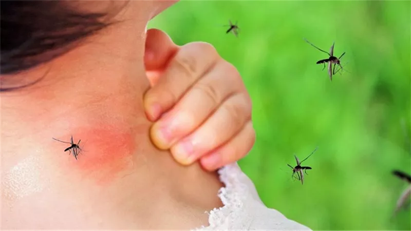علاج حمى الضنك عند الأطفال
